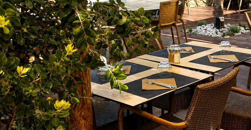 Le restaurant - La Terrasse Du Port - restaurant LUMIO - Restaurant Algajola - Restaurant Algajola Corse